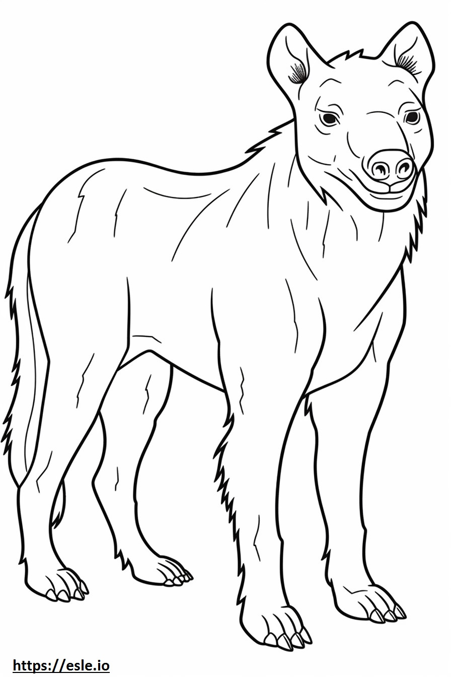 Ruskea hyena kokovartalo värityskuva