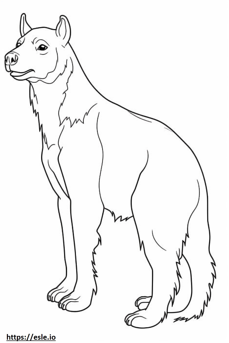 Brown Hyena full body coloring page