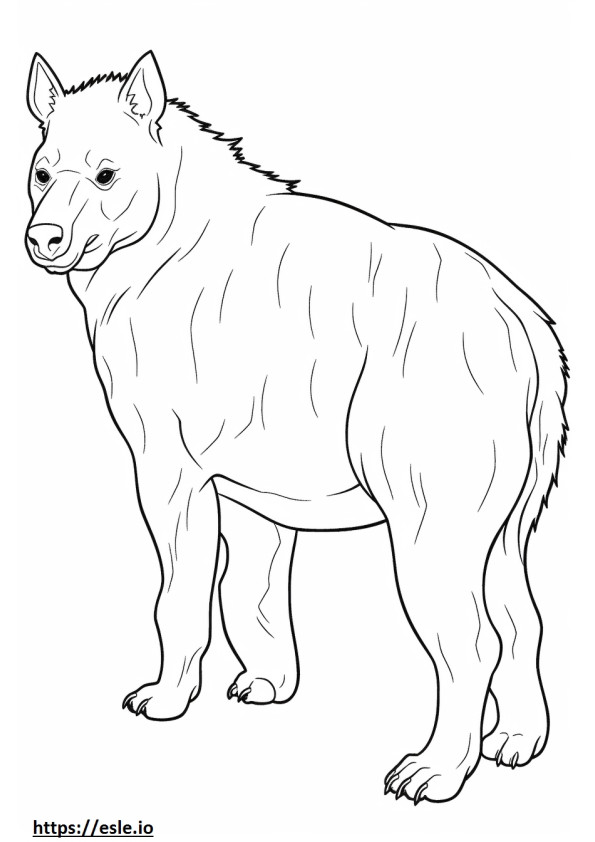 Brown Hyena full body coloring page