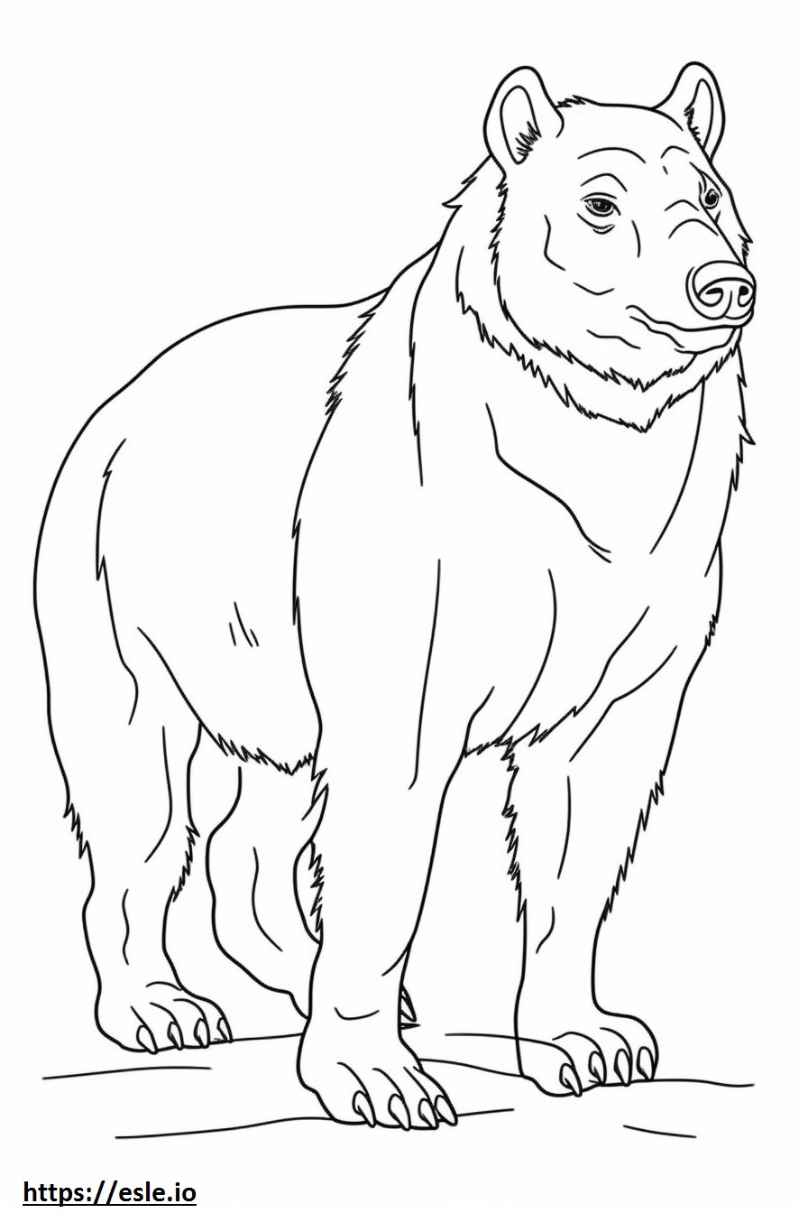 Brown Hyena baby coloring page
