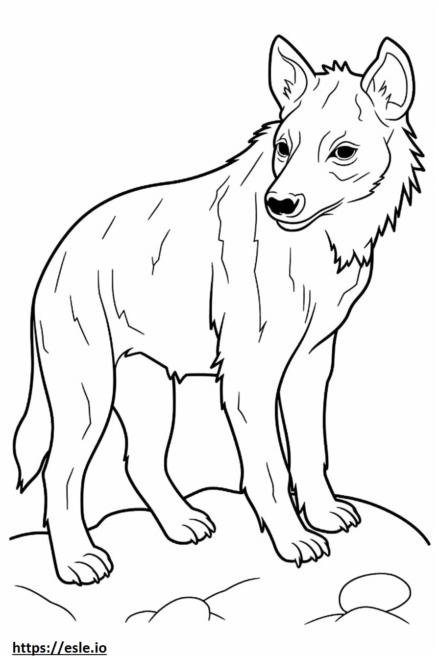 Brown Hyena Playing coloring page