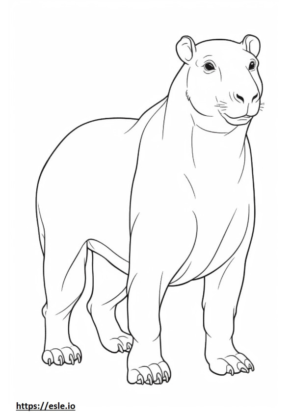 Brug full body coloring page