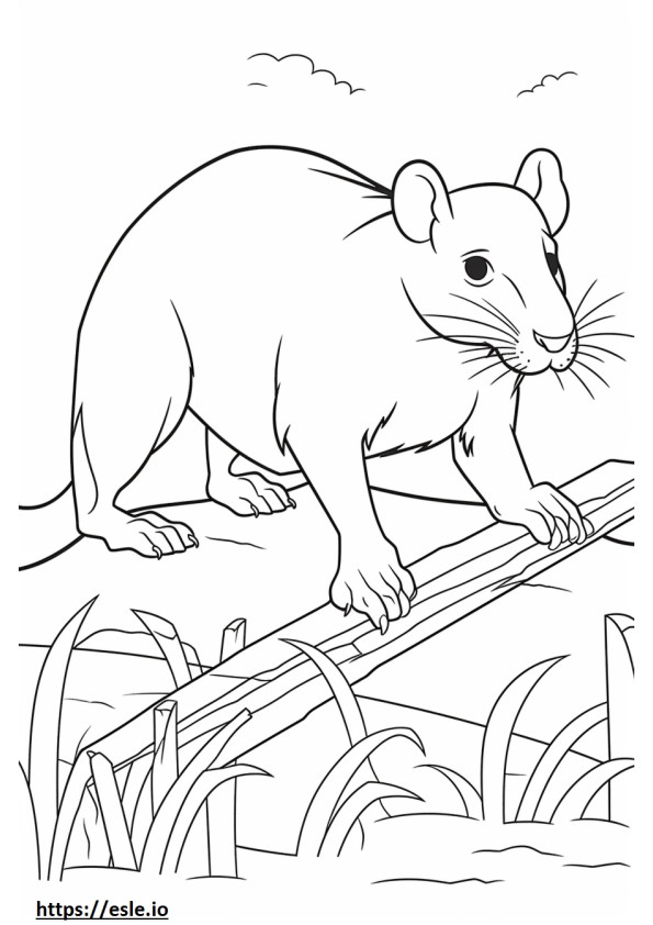 Brug Playing coloring page