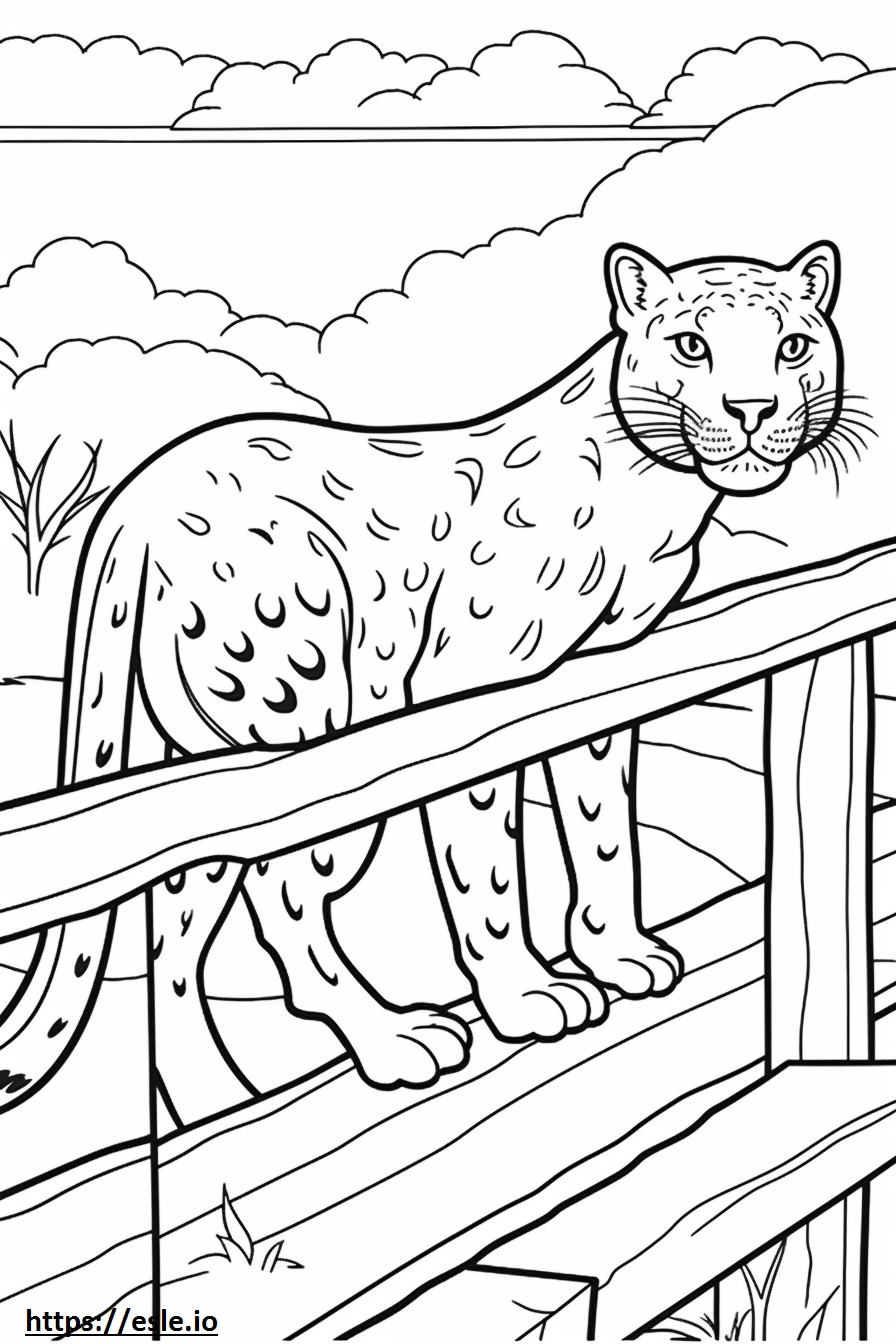 Brug Friendly coloring page