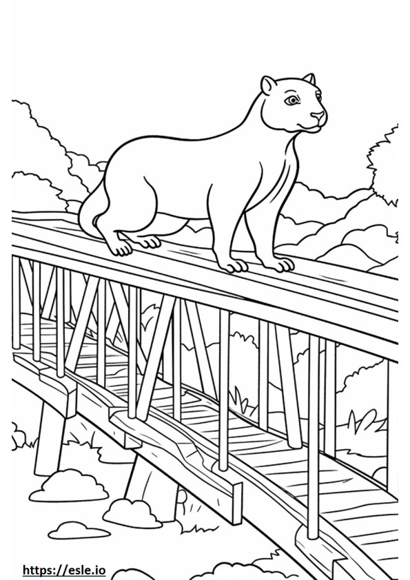 Brug Friendly coloring page