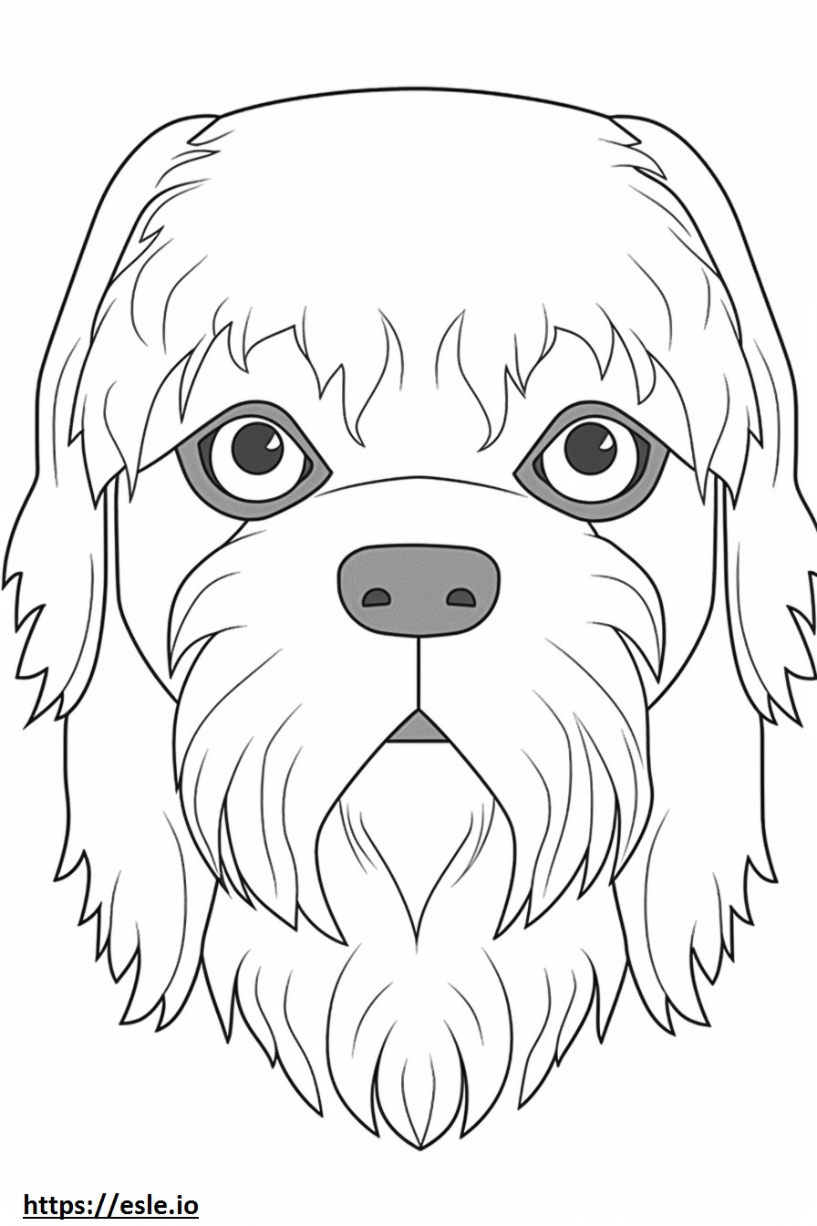 Brussels Griffon face coloring page