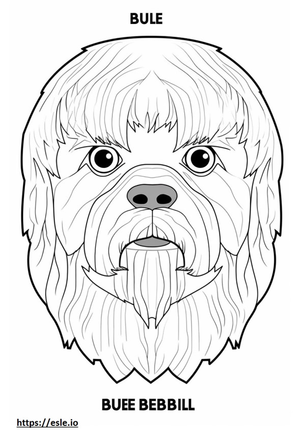 Brussels Griffon face coloring page
