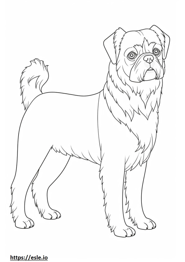 Brussels Griffon full body coloring page