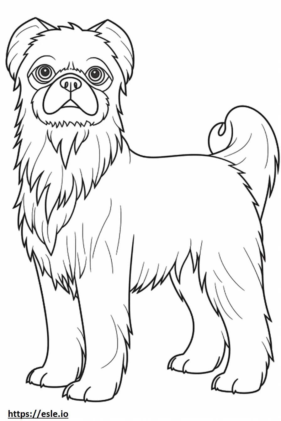 Brussels Griffon full body coloring page