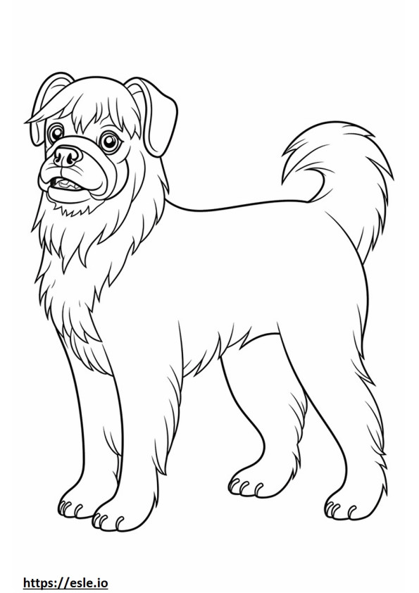 Brussels Griffon cartoon coloring page