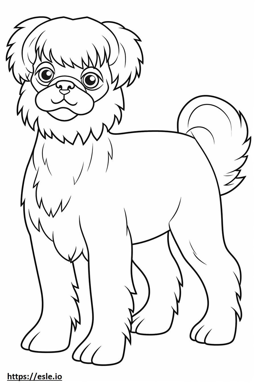 Brussels Griffon cartoon coloring page