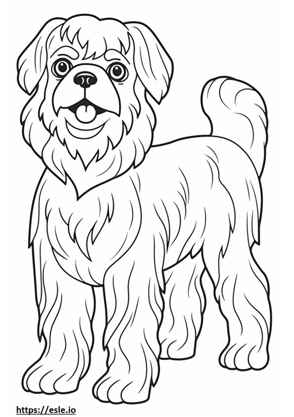 Brussels Griffon cute coloring page
