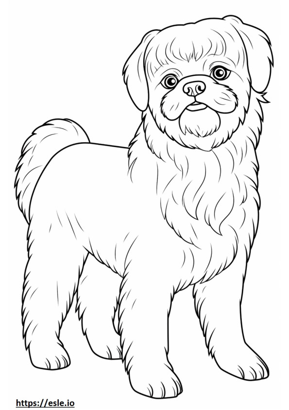 Brussels Griffon cute coloring page