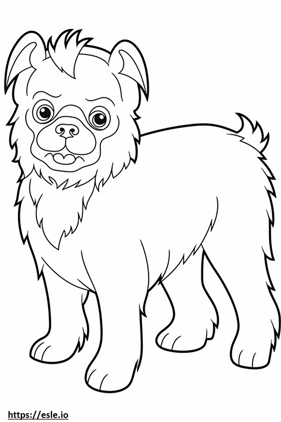Brussels Griffon Playing coloring page