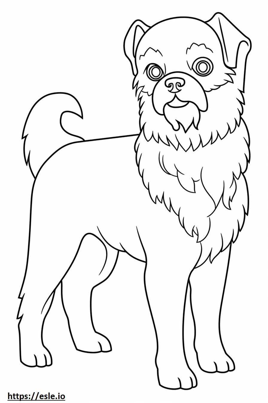 Brussels Griffon Friendly coloring page