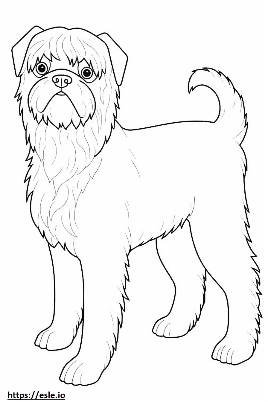 Brussels Griffon Friendly coloring page