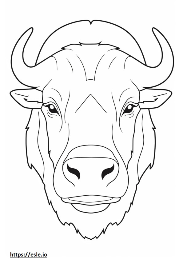 Buffalo kasvot värityskuva