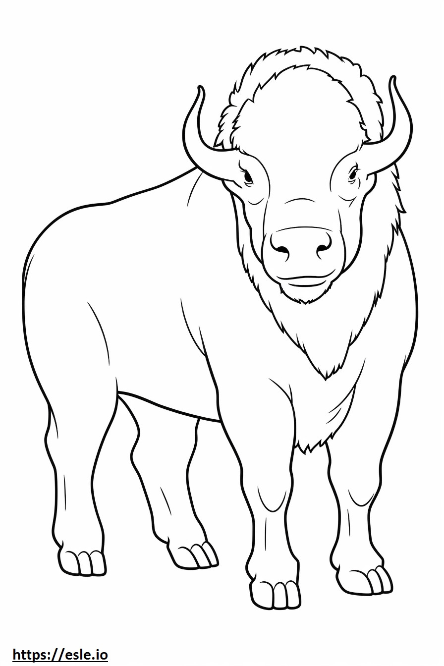 Buffalo full body coloring page