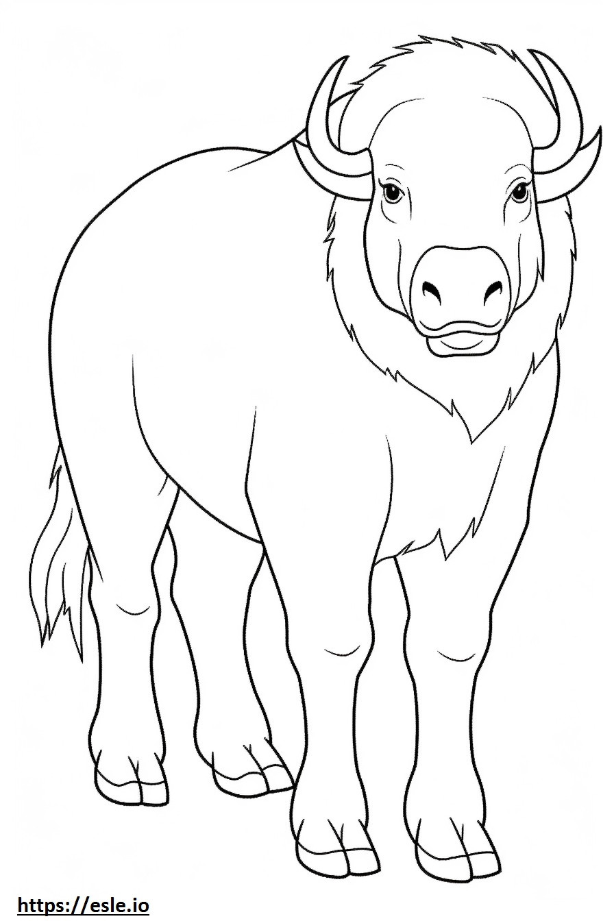 Búfalo de cuerpo entero para colorear e imprimir