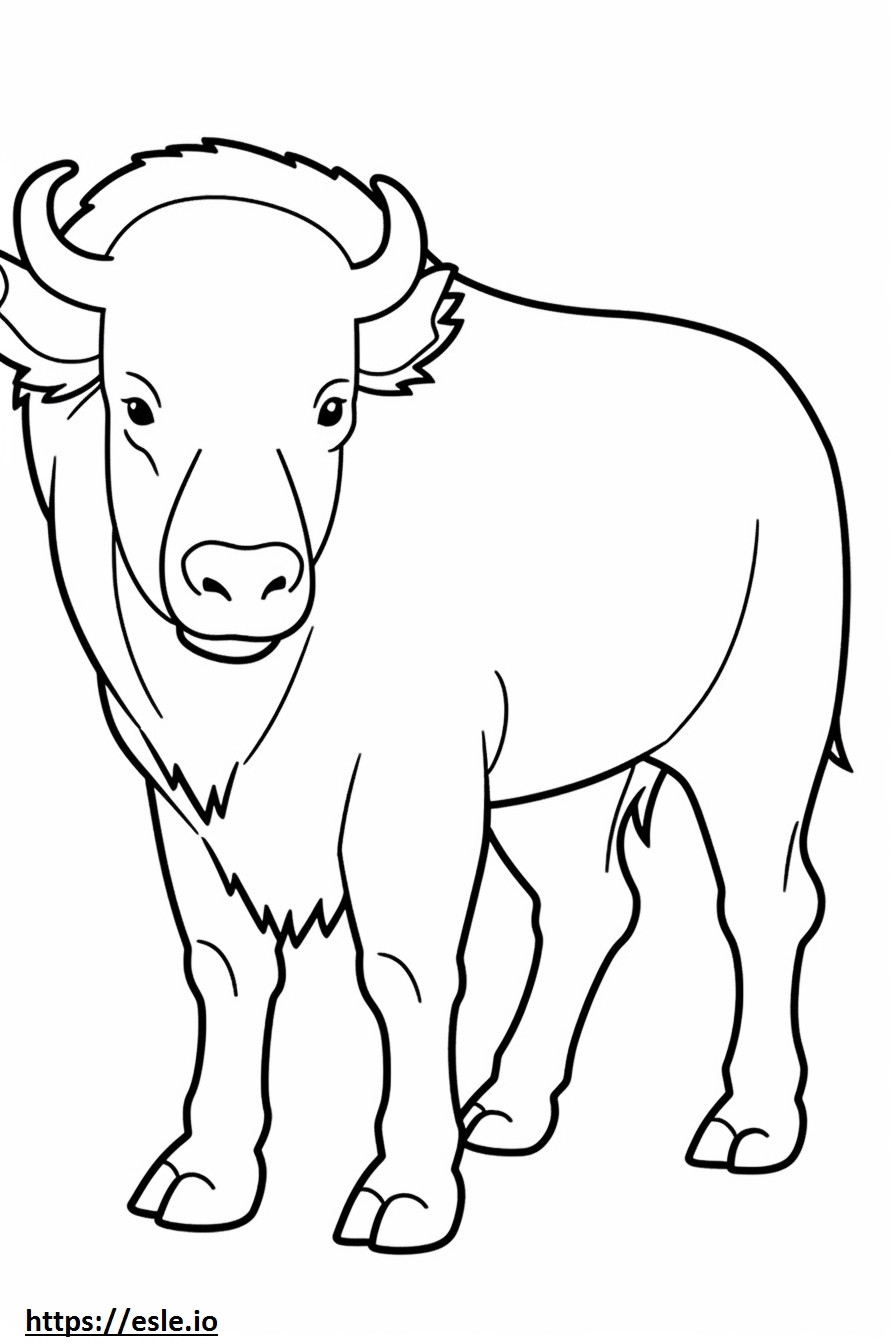 Desenho de búfalo para colorir
