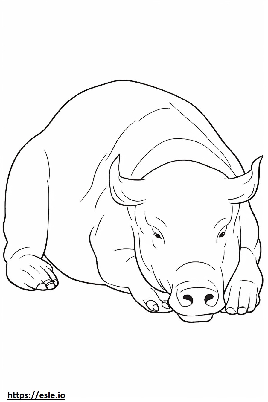 Bufalo che dorme da colorare