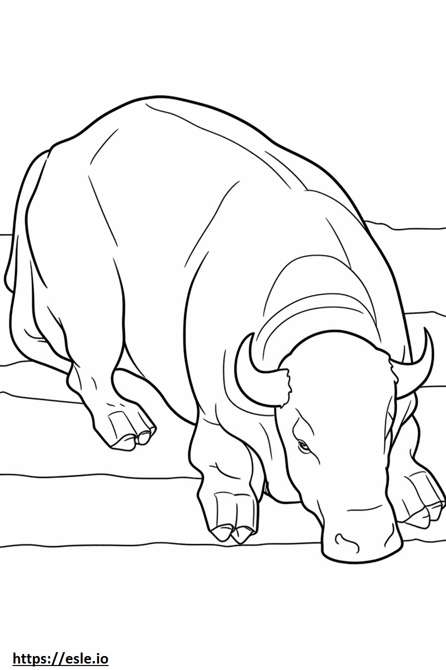 búfalo durmiendo para colorear e imprimir