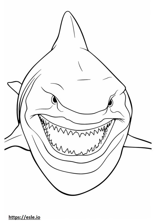 Bullenhai-Gesicht ausmalbild