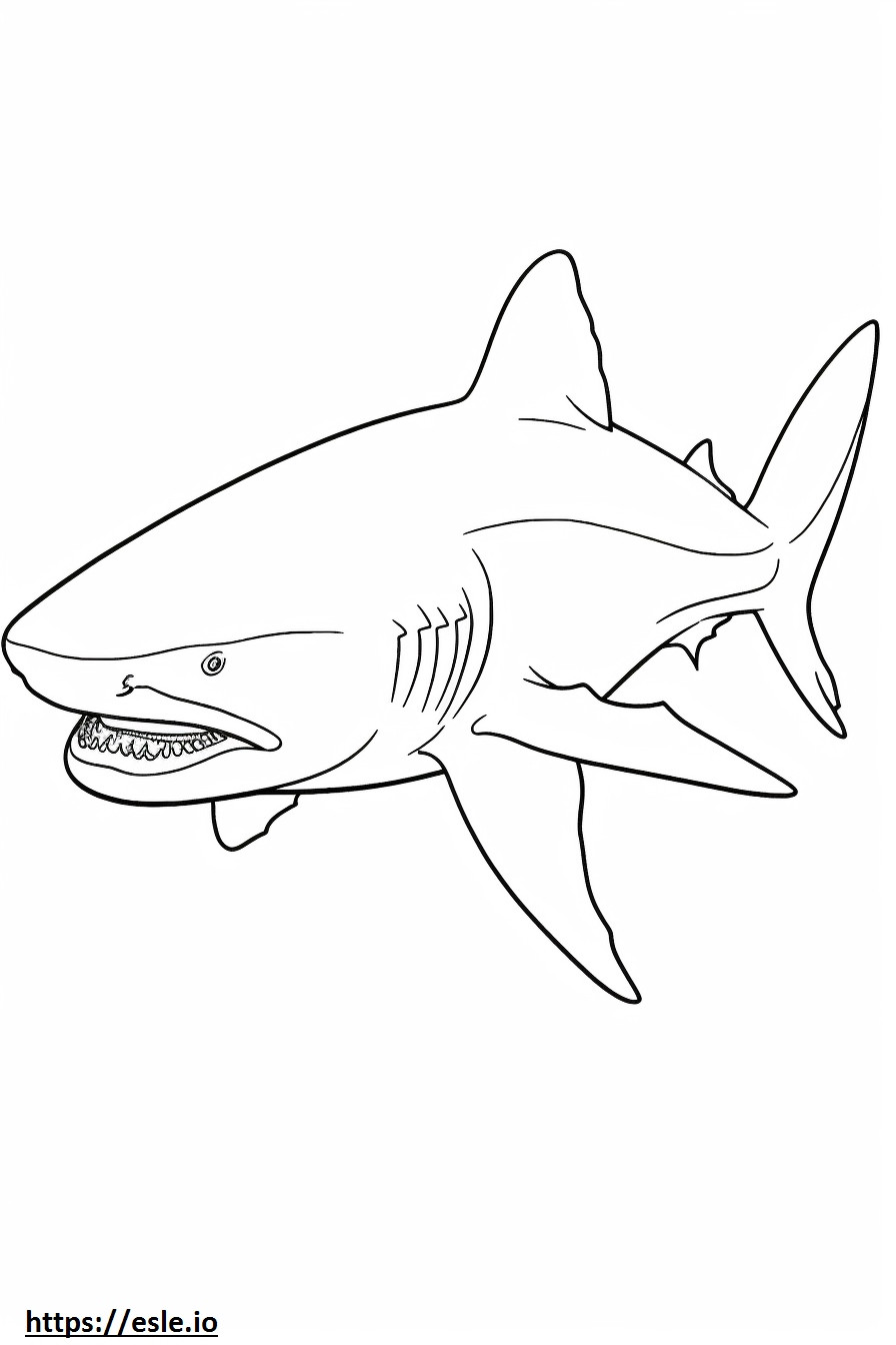 Corpo inteiro do tubarão-touro para colorir