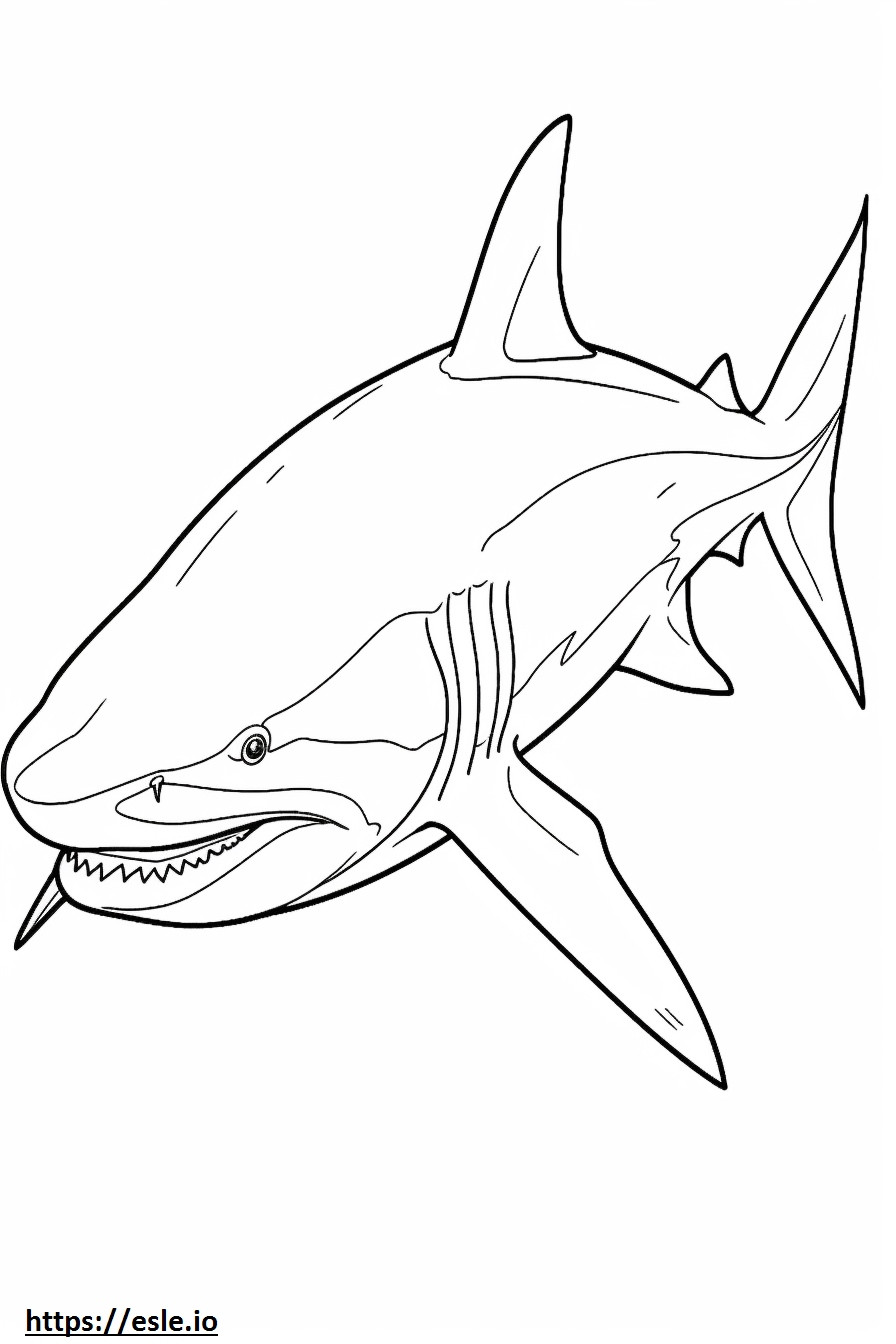 Tiburón toro de cuerpo completo para colorear e imprimir