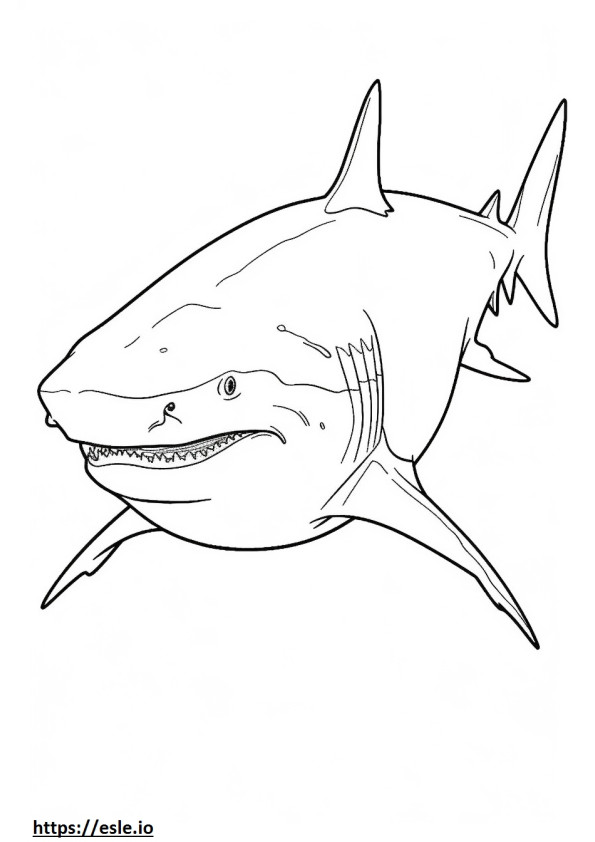 Bull Shark full body coloring page