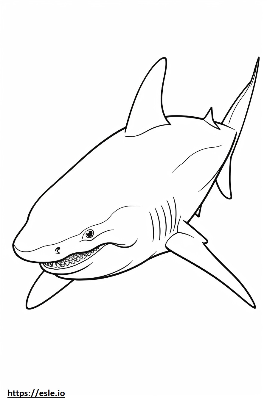 Bull Shark baby coloring page