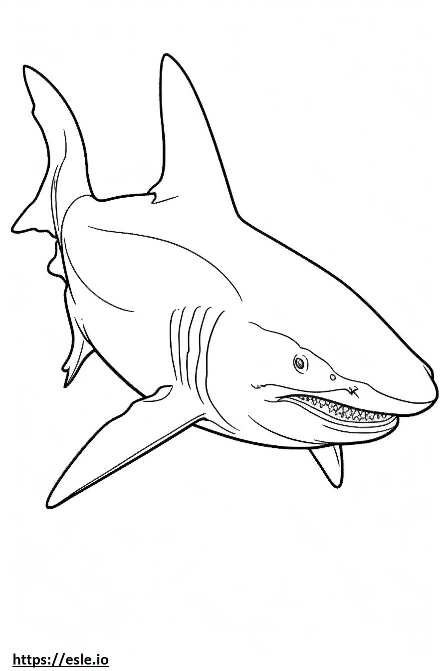 Coloriage Bébé requin bouledogue à imprimer