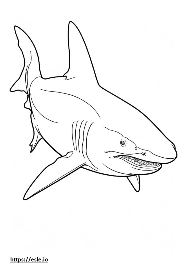 Bebê tubarão-touro para colorir