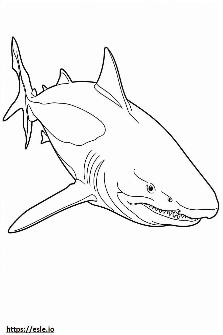 Coloriage Requin bouledogue mignon à imprimer
