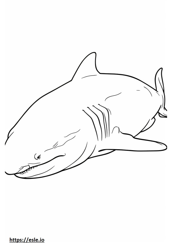 Tiburón toro durmiendo para colorear e imprimir