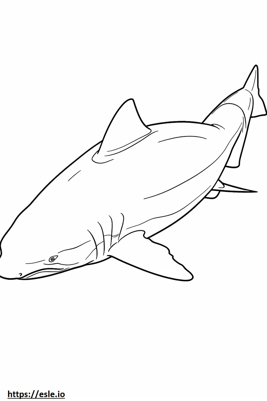 Tubarão-touro dormindo para colorir