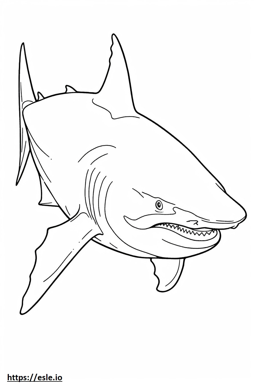 Jogo de tubarão-touro para colorir