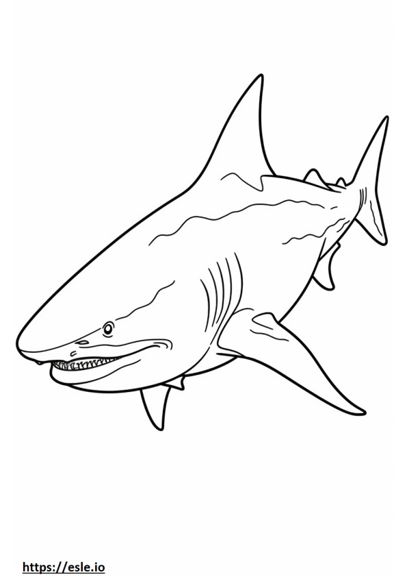 Jogo de tubarão-touro para colorir