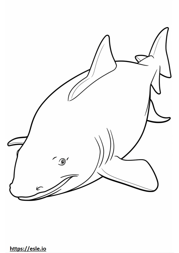 Tubarão Touro Kawaii para colorir