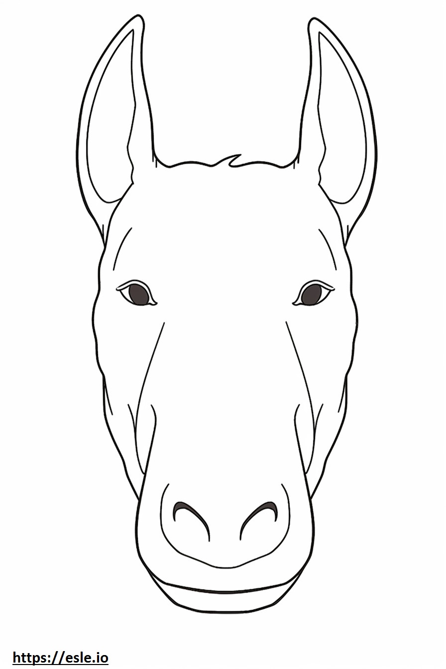Bull Terrier face coloring page