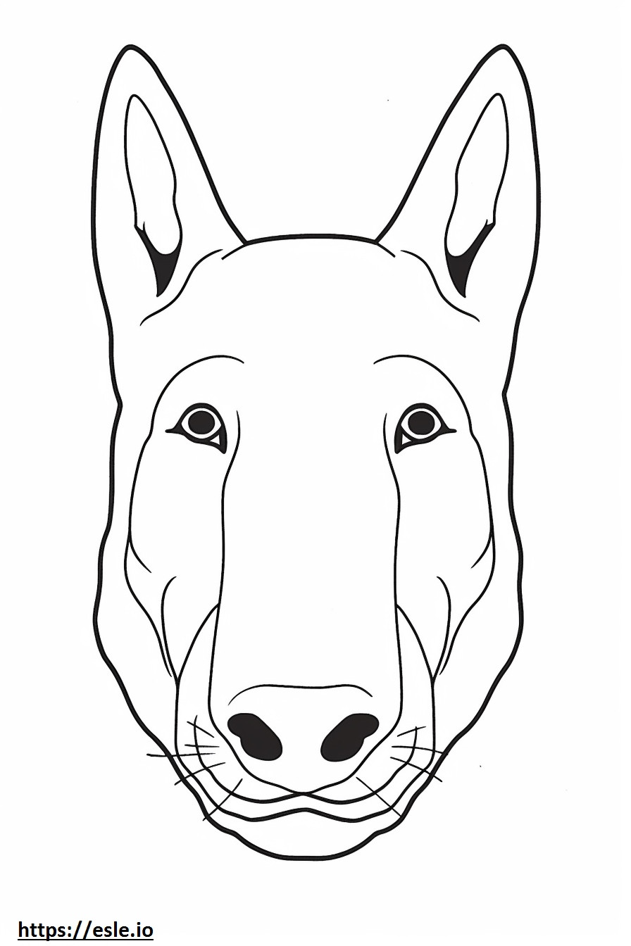 Coloriage Visage de Bull Terrier à imprimer
