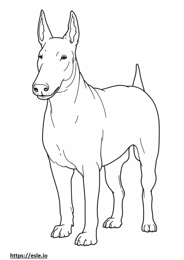 Bull terrier cuerpo completo para colorear e imprimir