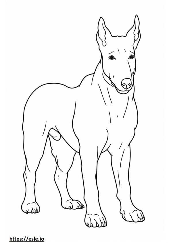 Coloriage Bull Terrier corps entier à imprimer