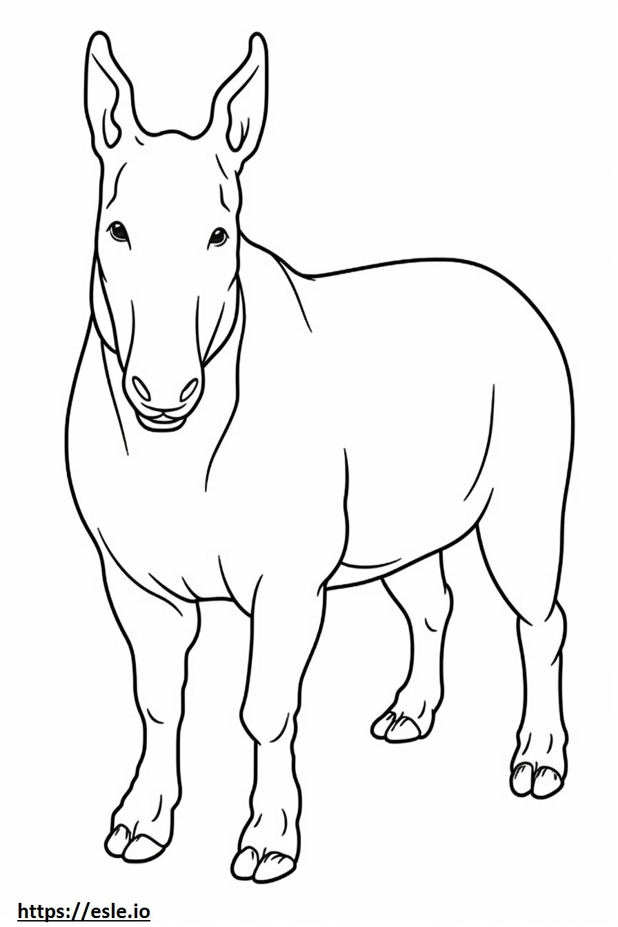 Bull Terrier cartoon coloring page