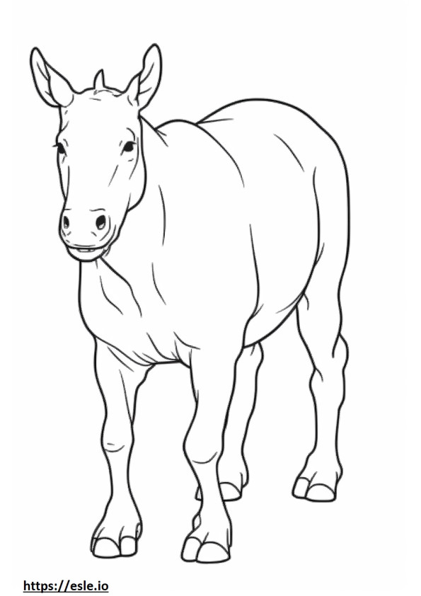Bull Terrier cute coloring page