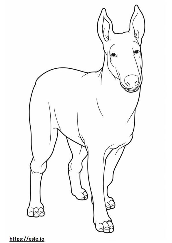 Bull Terrier happy coloring page