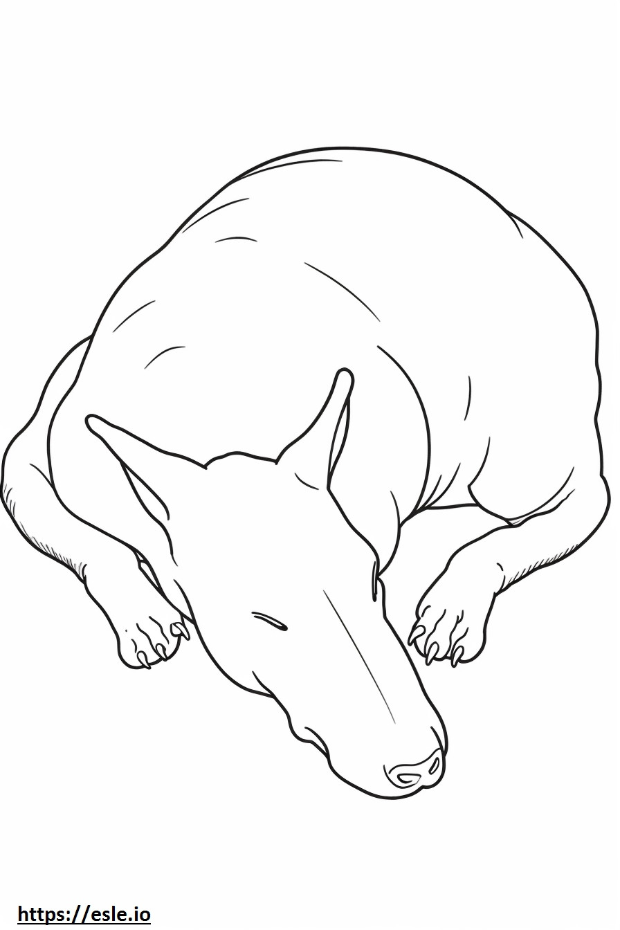 bull terrier durmiendo para colorear e imprimir