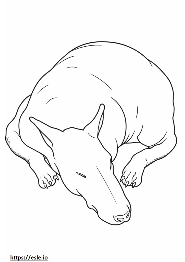 Bull Terrier dormindo para colorir