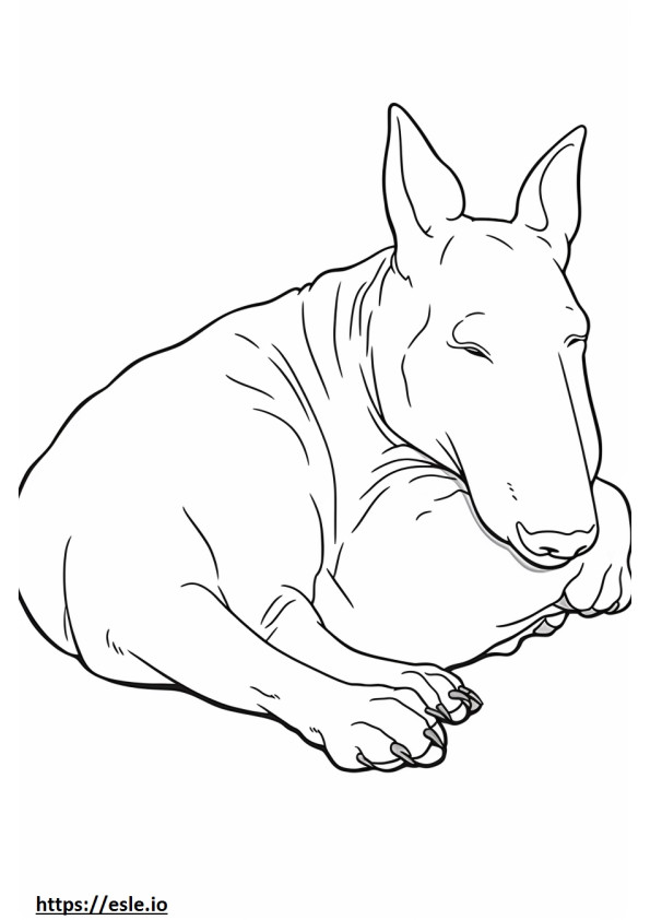Bull Terrier che dorme da colorare