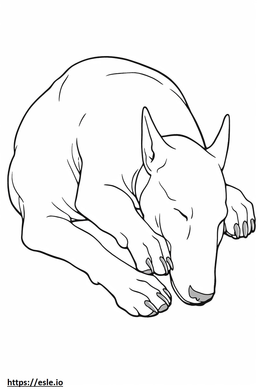Bull Terrier Sleeping coloring page